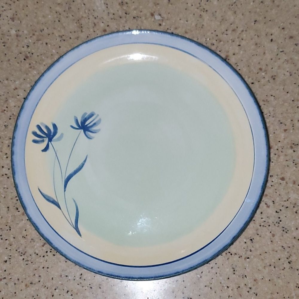Pier 1 Imports Tranquility Dinner Plate